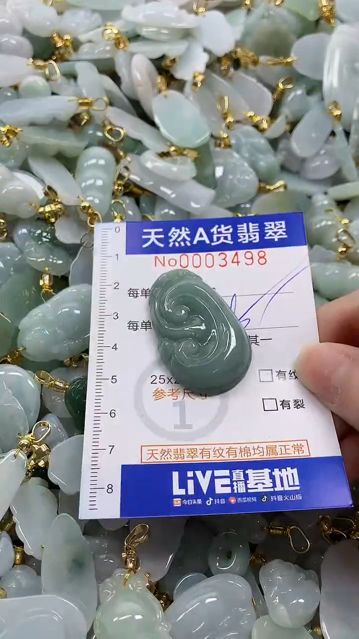 颈饰未镶嵌翡翠纯天然a货翡翠