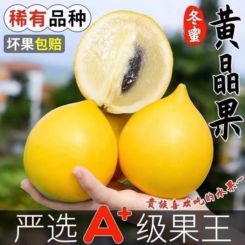 【顺丰快运】西双版纳 黄晶果 