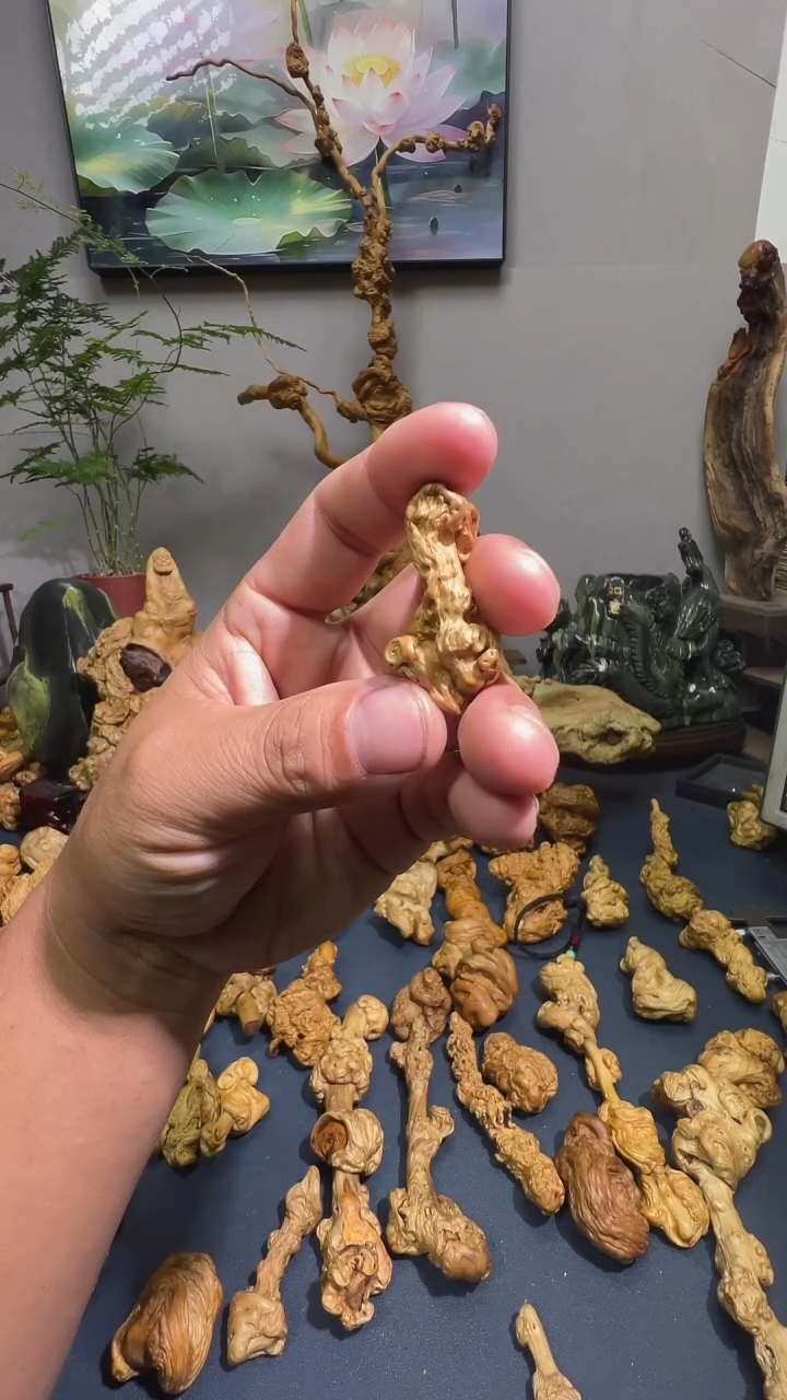 手串/手链核桃常***山555555555