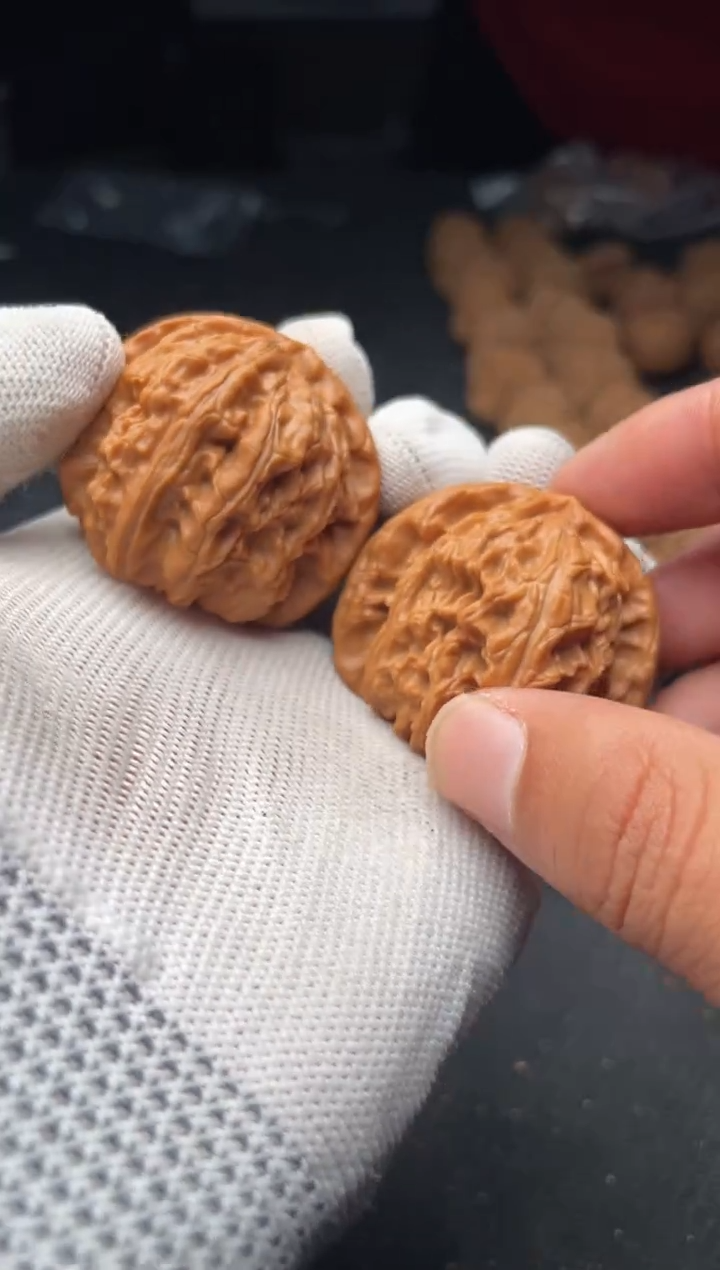 核桃a123   白狮子    41尺