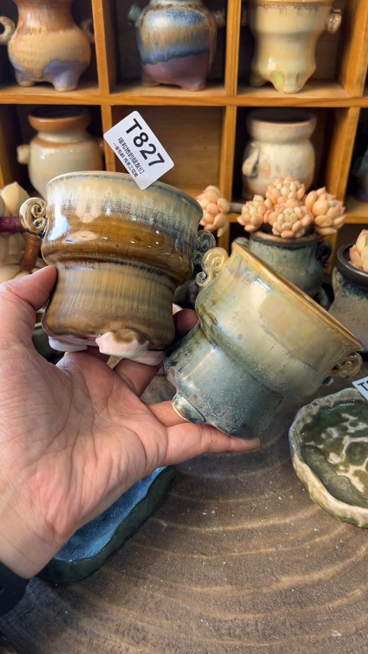 赤***紫827【多肉花盆多肉盆】