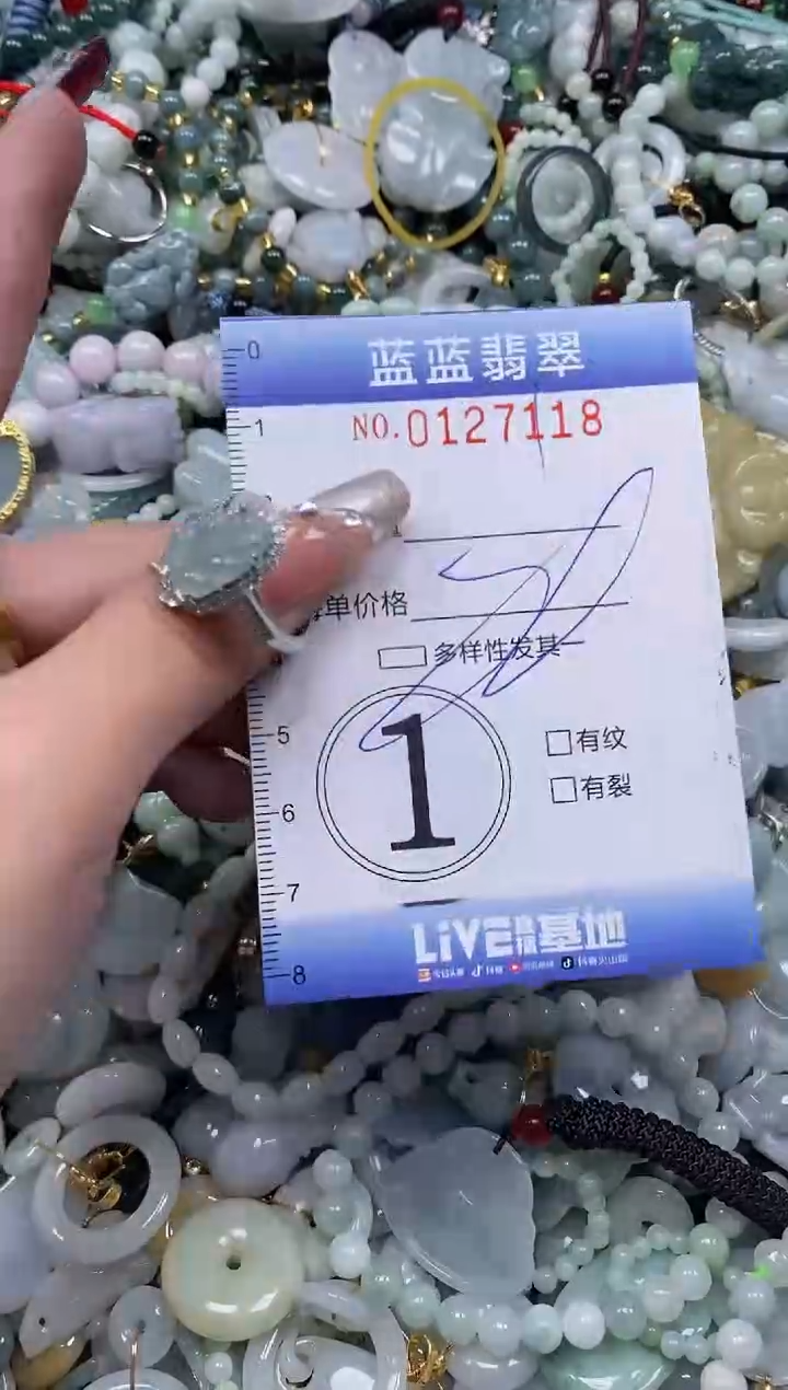 【闪购商品】翡翠颈饰未镶嵌闪购0127118多样性发其一