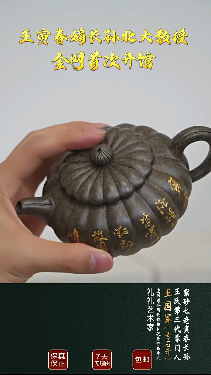 茶壶紫砂WGJ24筋纹仿古青玉段砂300cc