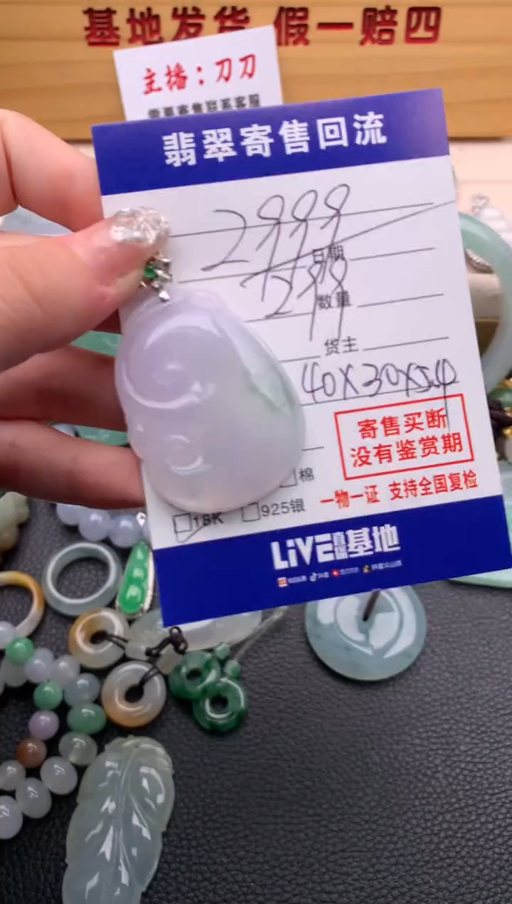 翡翠18K金镶嵌颈饰21013873
