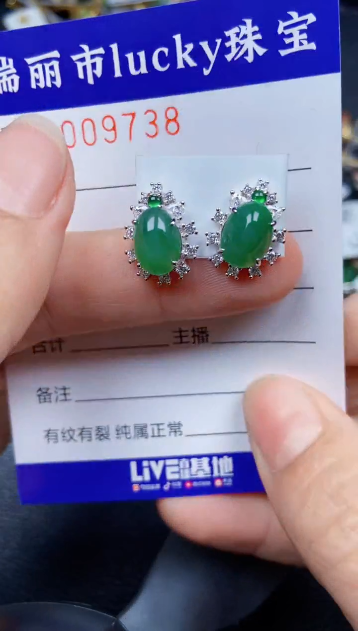 【闪购商品】翡翠颈饰银S925镶嵌9738