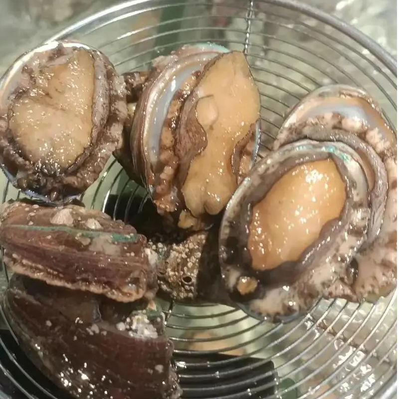 鲍鱼（只）