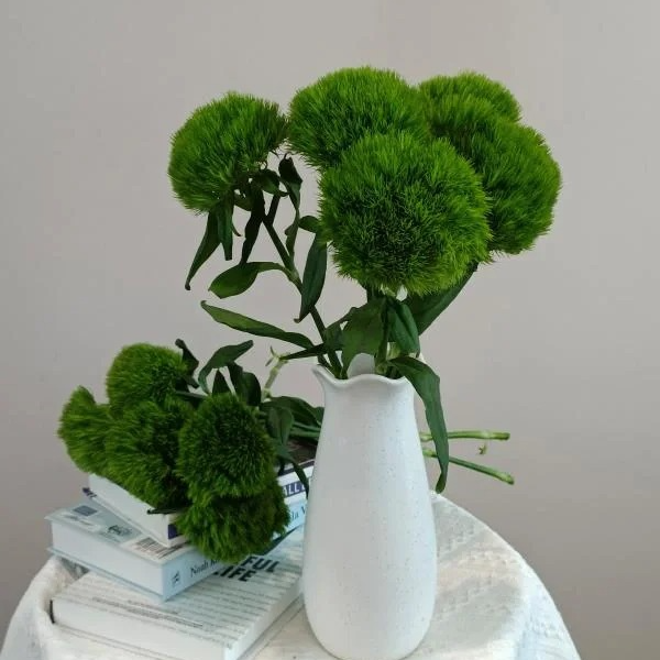 【新疆鲜花次日达】绿毛球5枝装-花鲜达家居养花插花新疆生活鲜花全场两单包邮送货上门今天拍明天