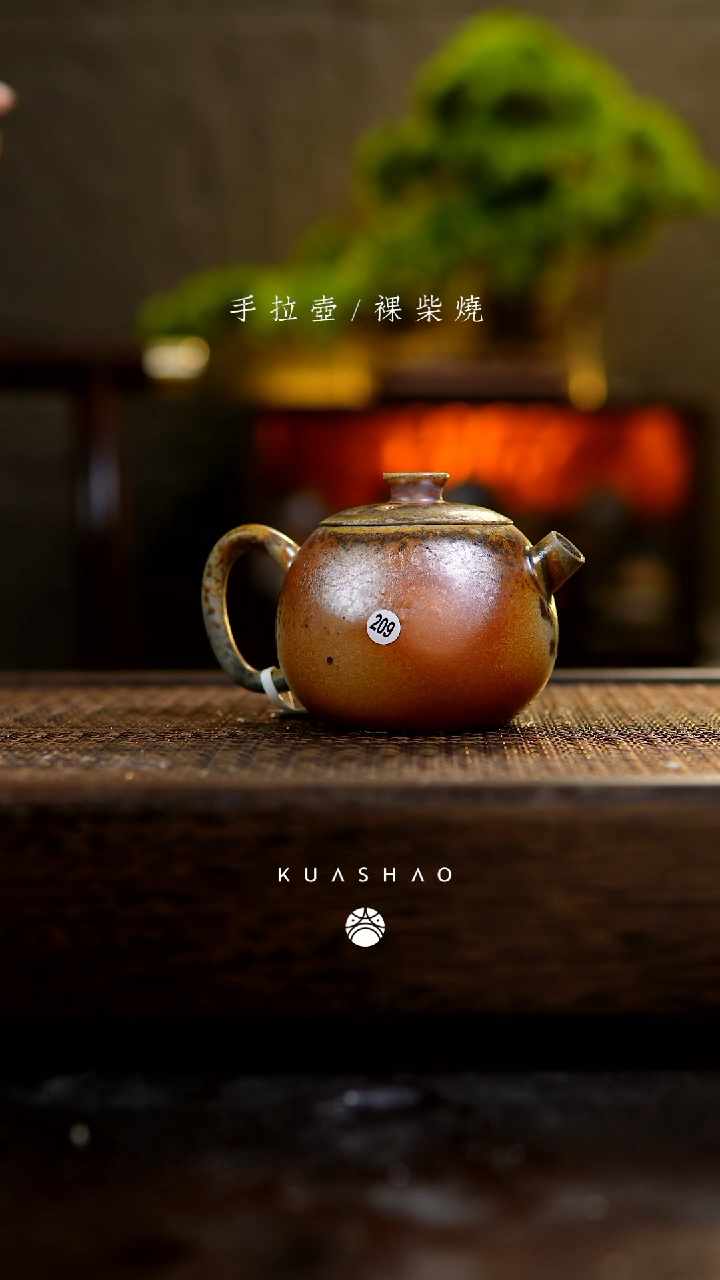 【闪购商品】巨蛋壶209         