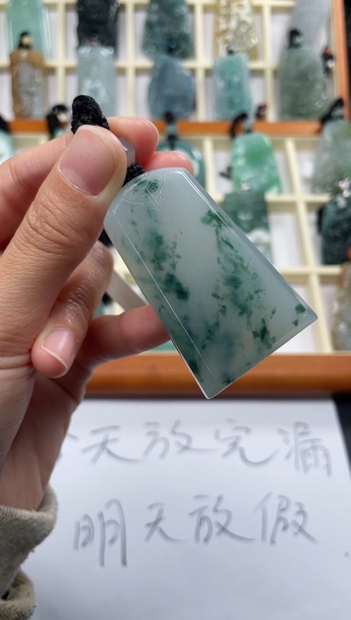 【闪购商品】翡翠颈饰未镶嵌无事牌