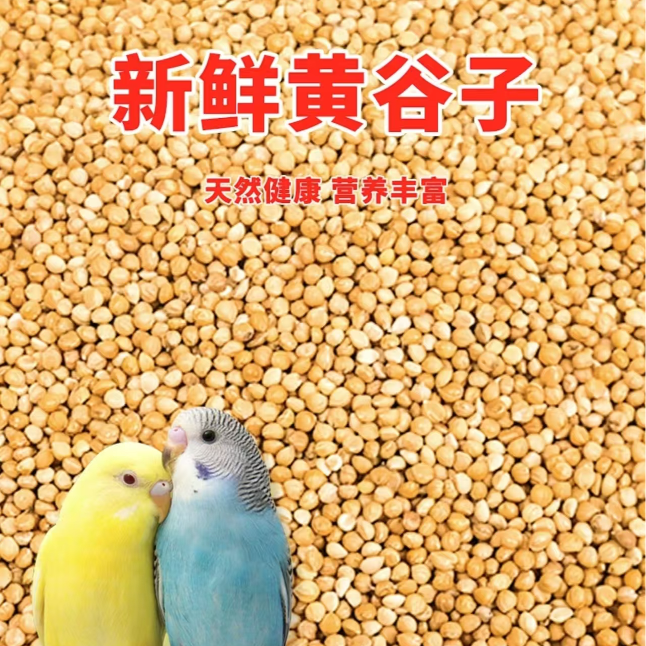 鹦鹉专用饲料纯小米黄谷子Y