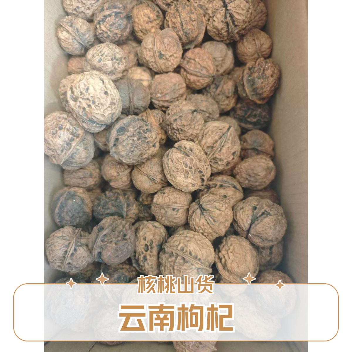 【大个山货】云南枸杞农家老品种核桃