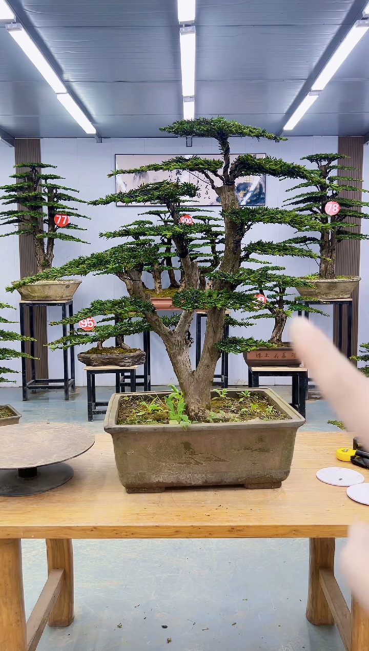 以实际为准0000000