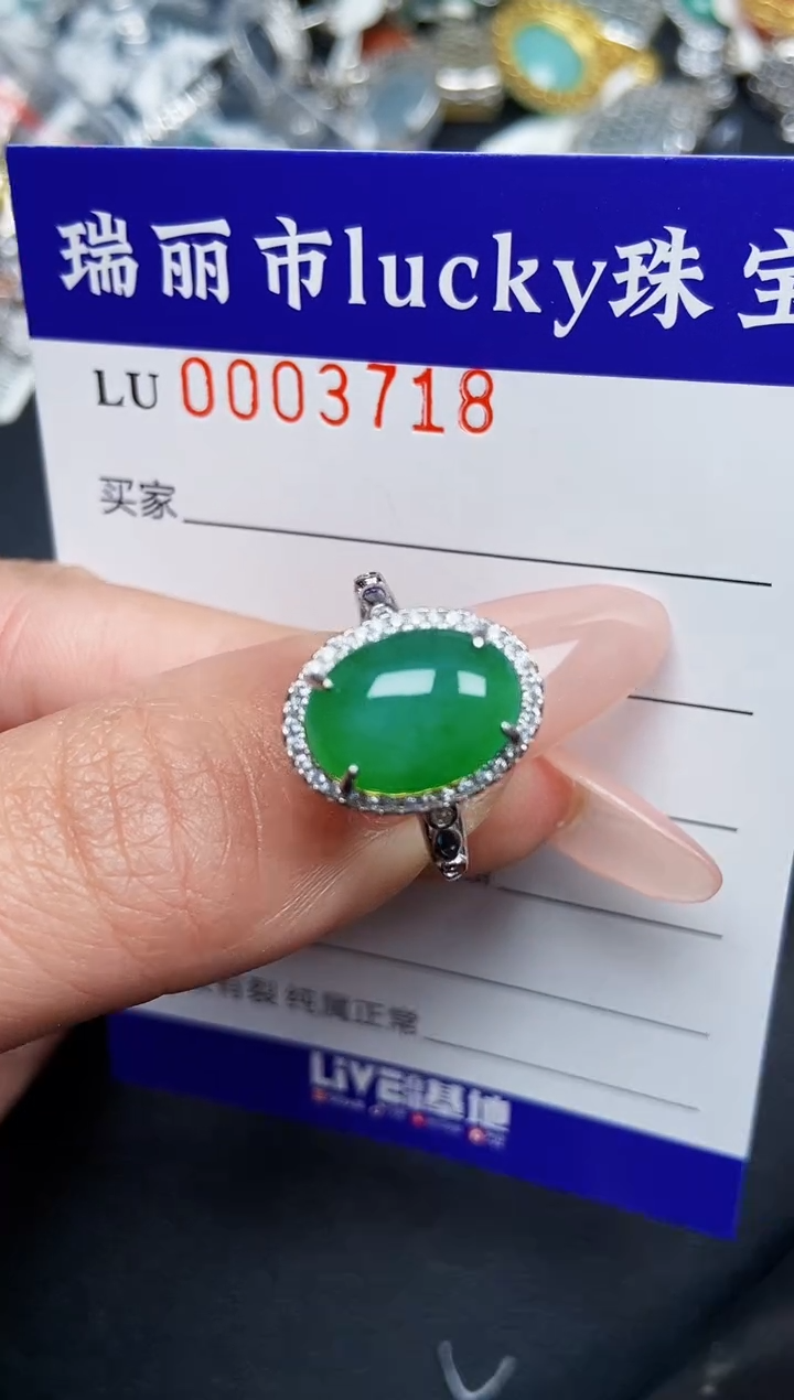 【闪购商品】翡翠颈饰银S925镶嵌3718