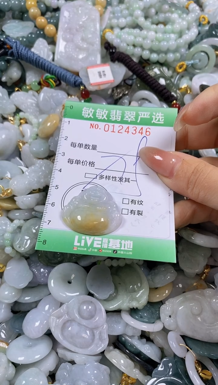 【闪购商品】翡翠颈饰未镶嵌闪购0124346