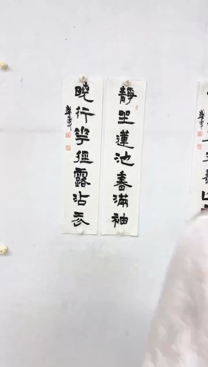 【闪购商品】国画天津人美-SJ-书法