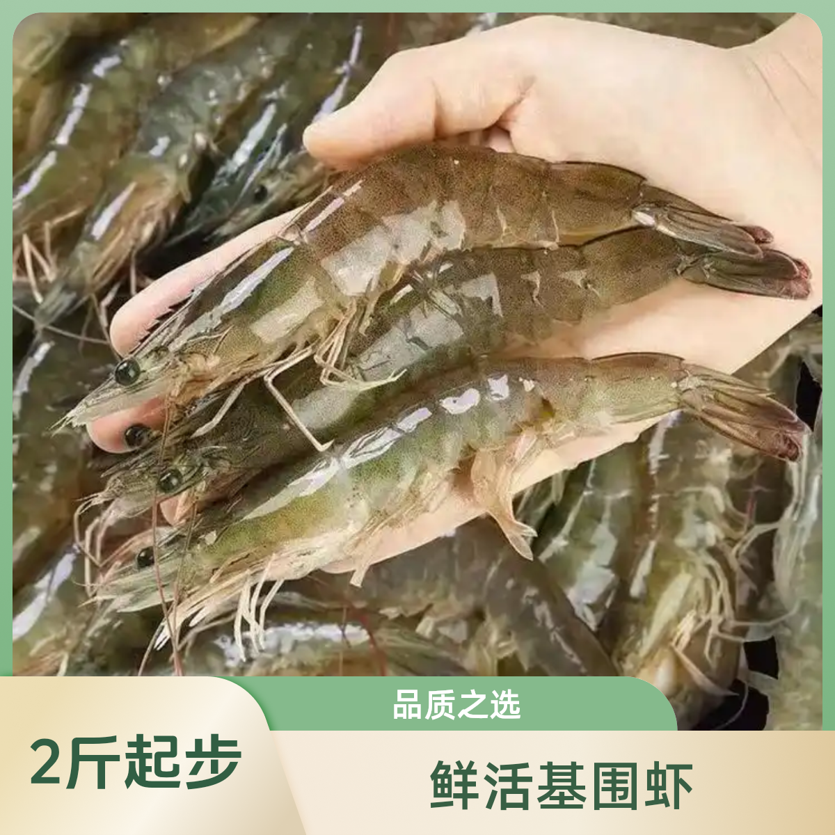 基围虾2斤装（1KG）