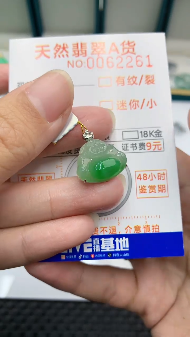 【闪购商品】翡翠颈饰18K金镶嵌            8