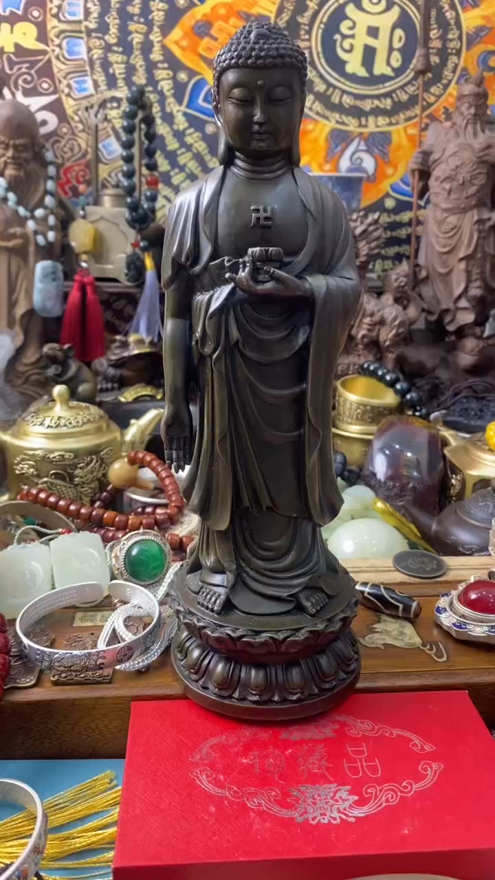 ------主播推荐------