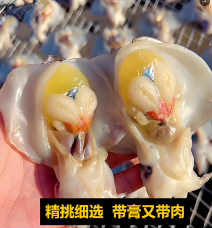 舟山墨鱼宝目鱼仔带膏乌贼卵墨鱼籽目鱼蛋微咸清蒸红烧咸鲜味足