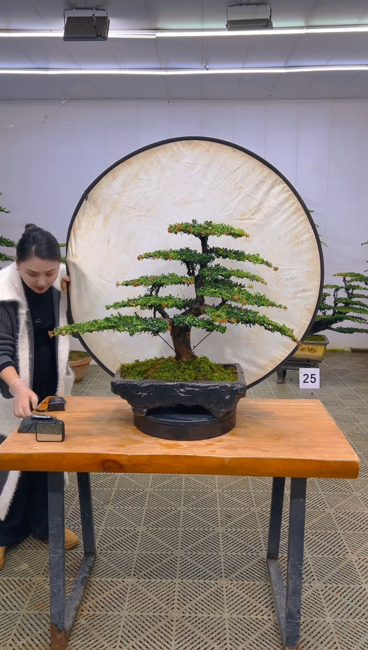 无花朵一物一拍一物一拍