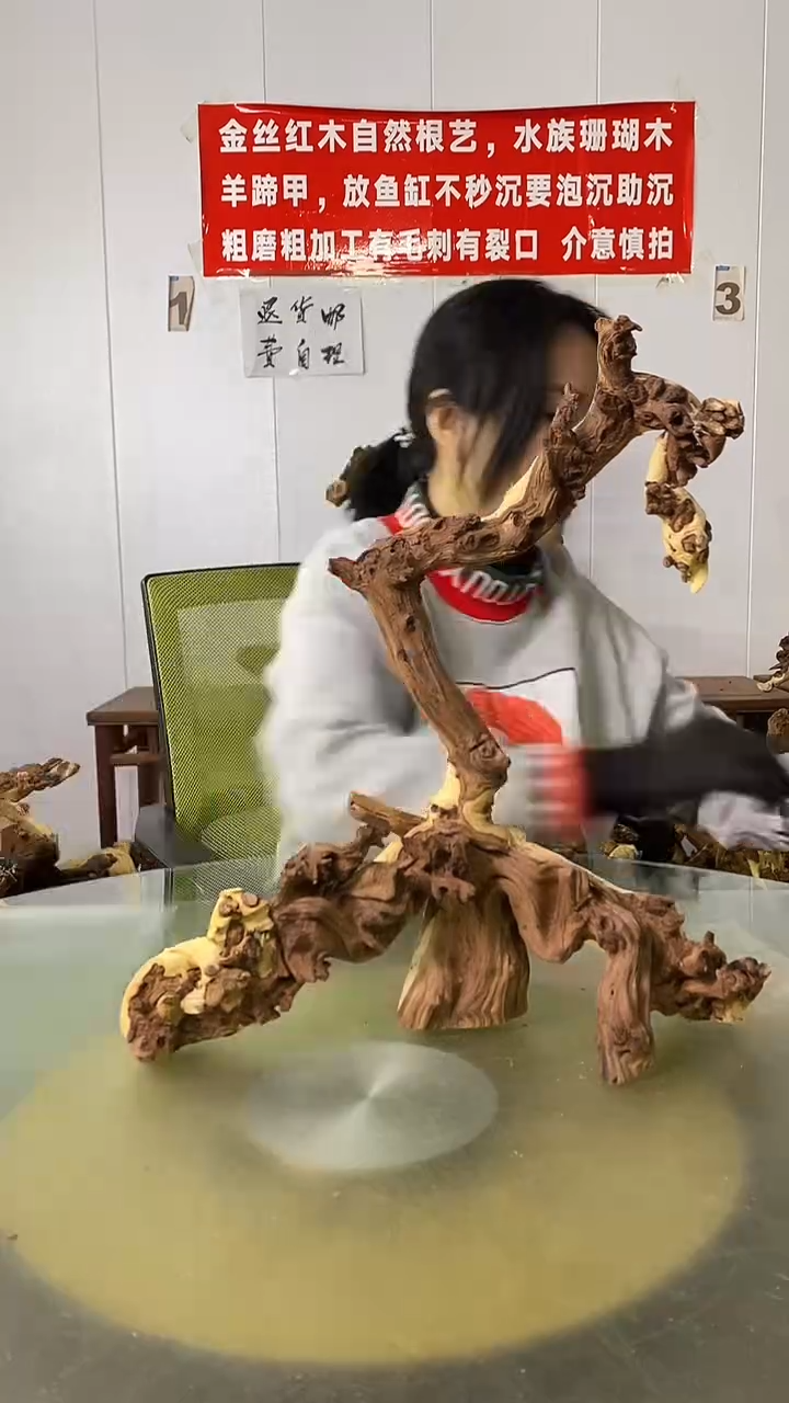 木?****️金丝红木  羊蹄甲