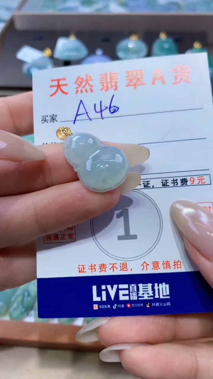 颈饰未镶嵌翡翠天然翡翠A货挂件