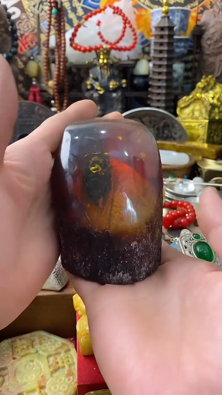 -------主播推荐-------