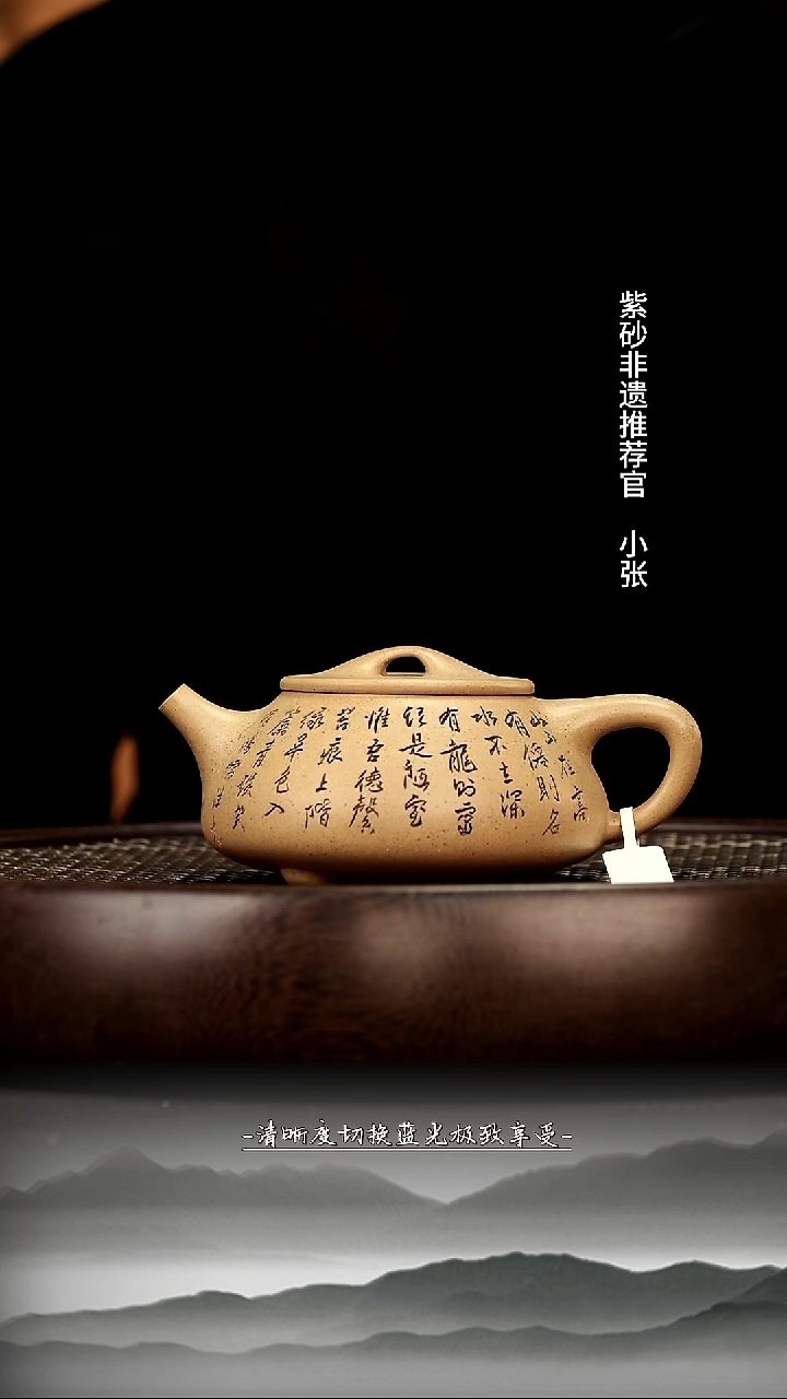 茶壶紫砂19 芝麻段 景舟满瓢 200c