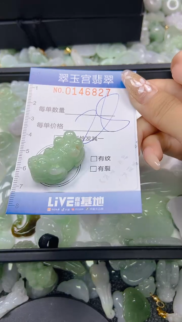 翡翠未镶嵌颈饰闪购0146827