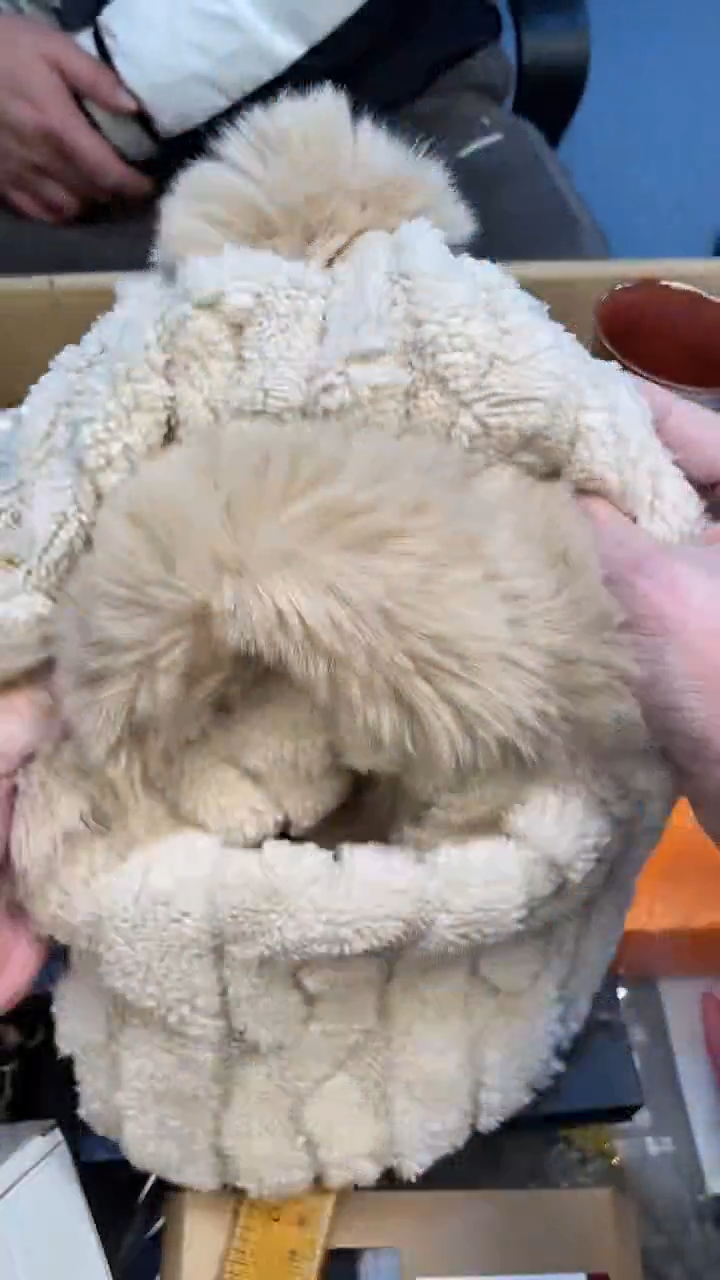 纯棉紫*如图所示 老崔精选