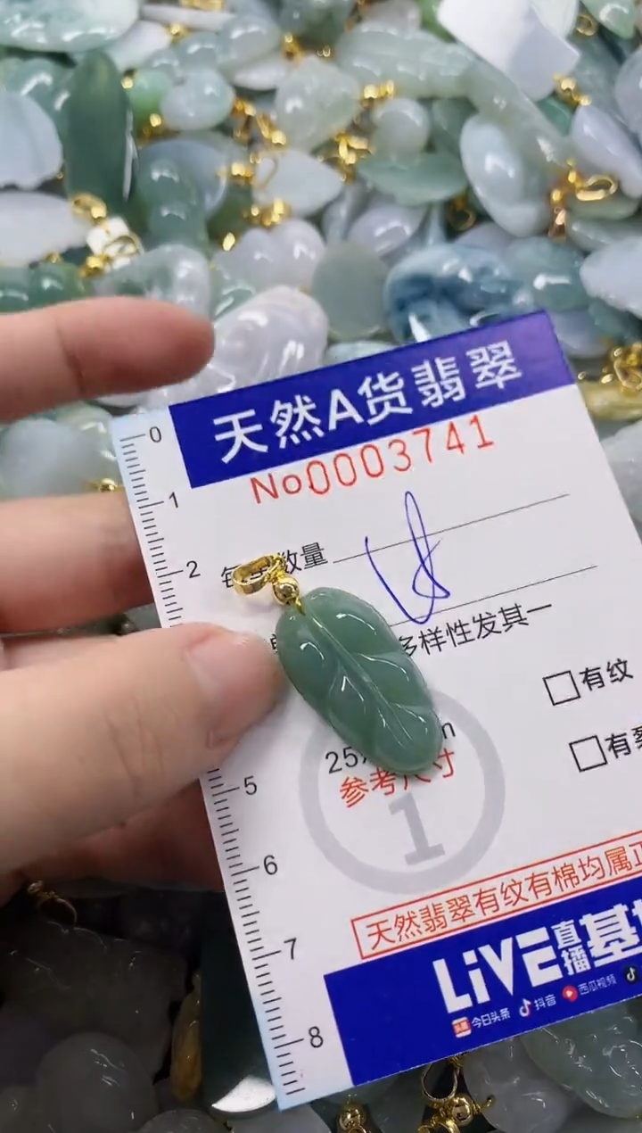 颈饰未镶嵌翡翠天然A货翡翠