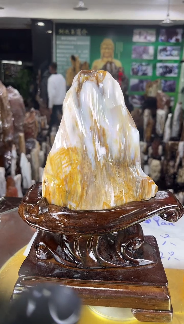 未镶嵌珠宝奇石硅化玉缅甸天然树化玉精品居家摆件