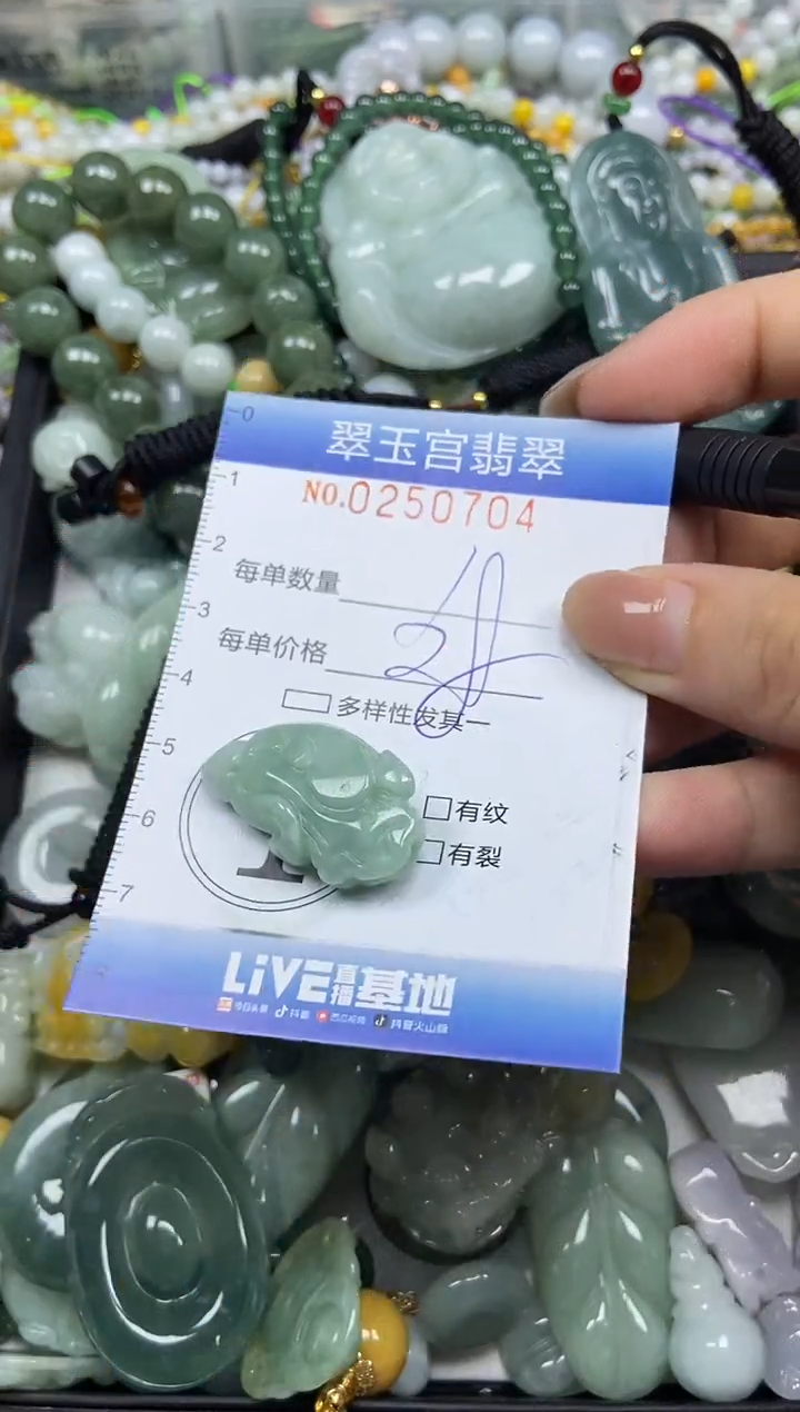 颈饰未镶嵌翡翠闪购C0250704