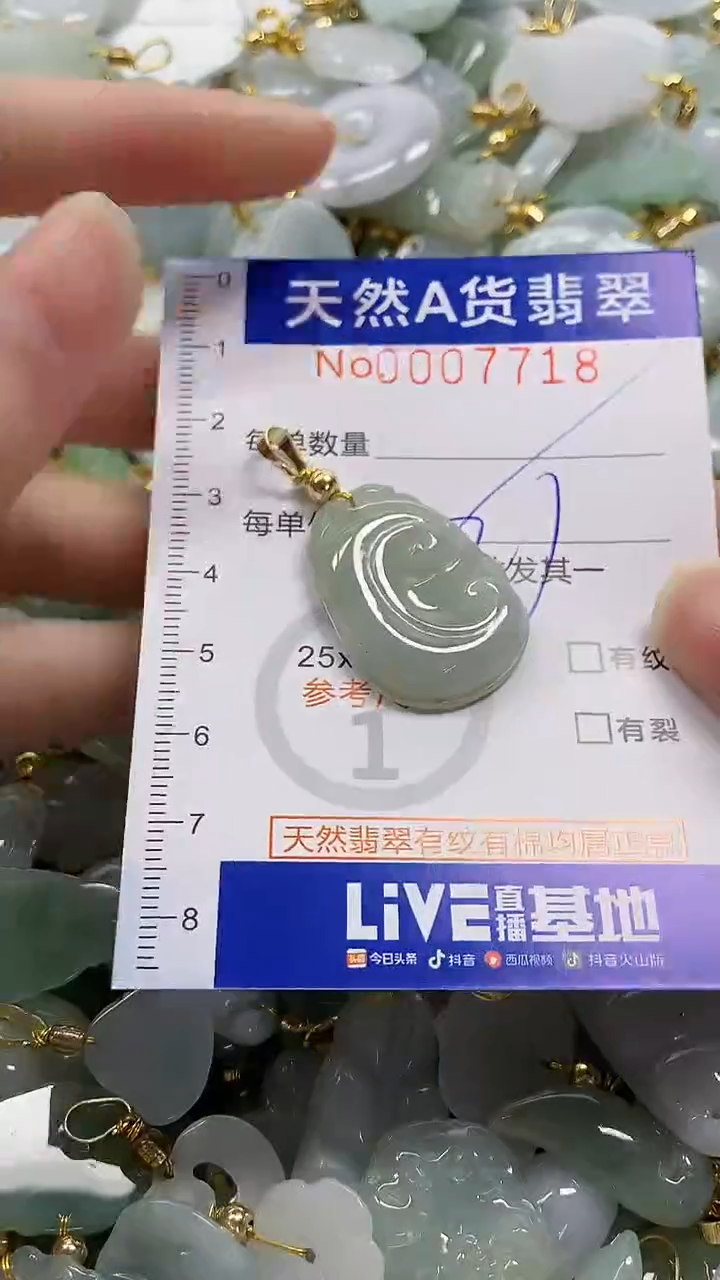 颈饰未镶嵌翡翠纯天然a货翡翠