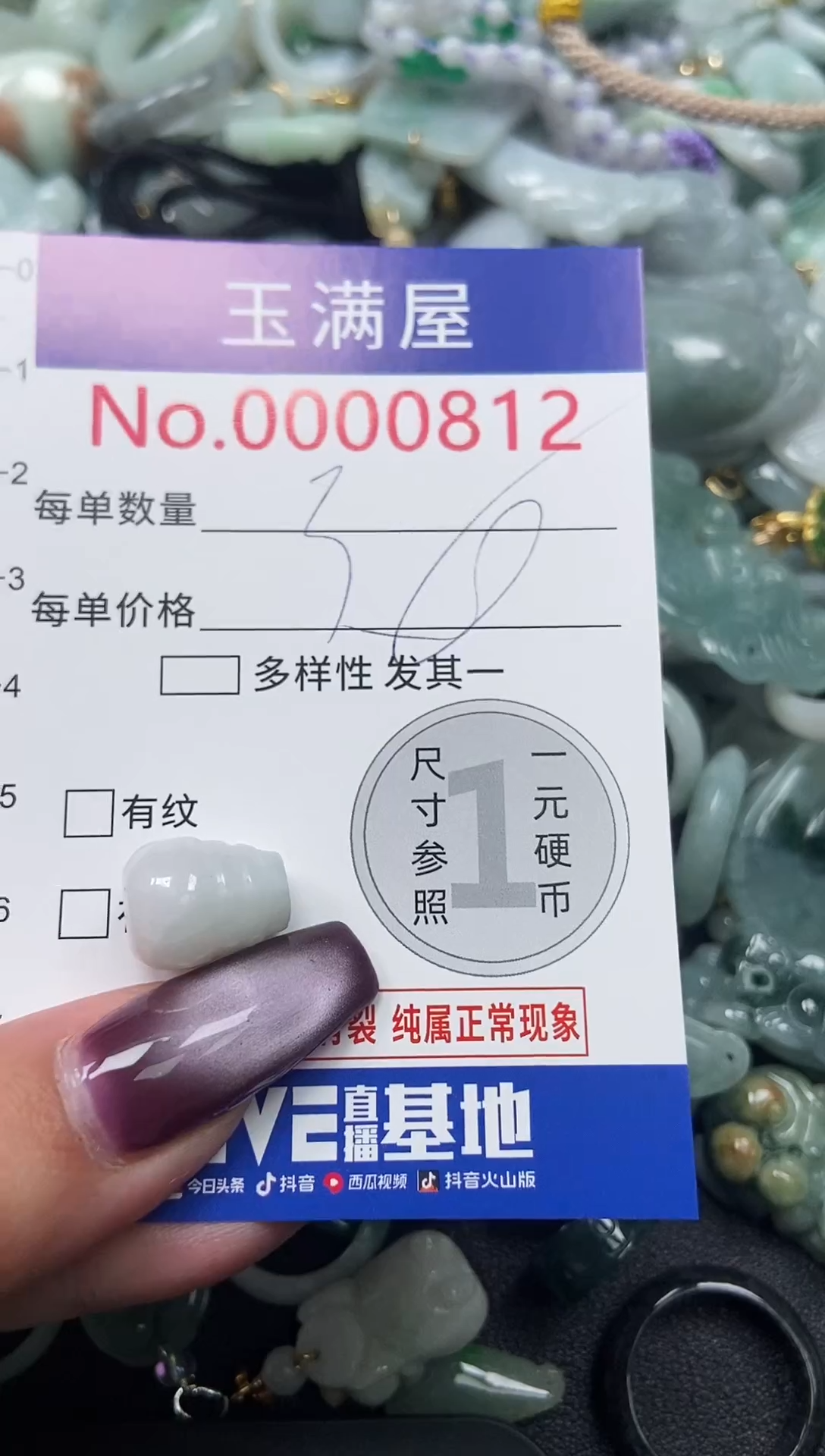 颈饰未镶嵌翡翠812