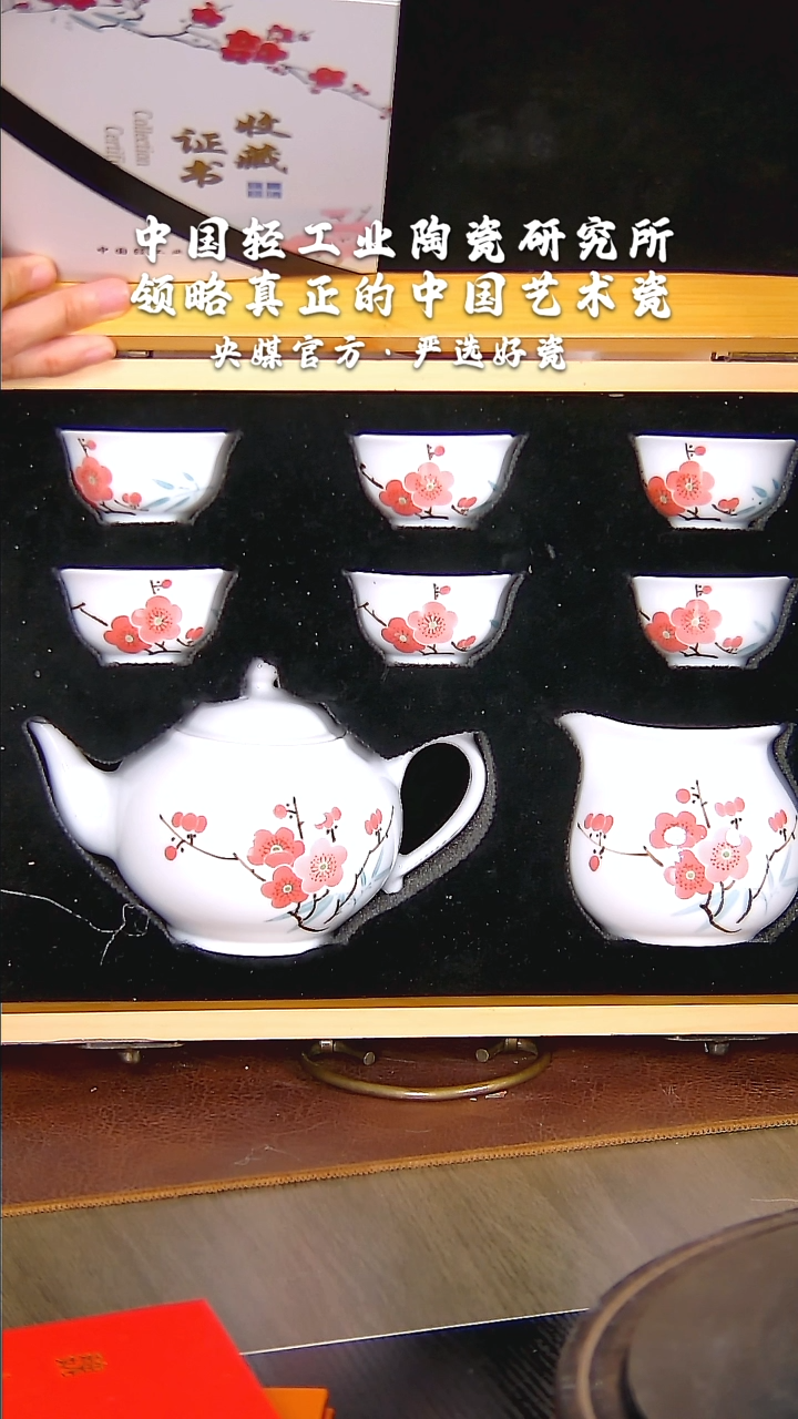 【闪购商品】瓷片陶瓷 研究所    流水92