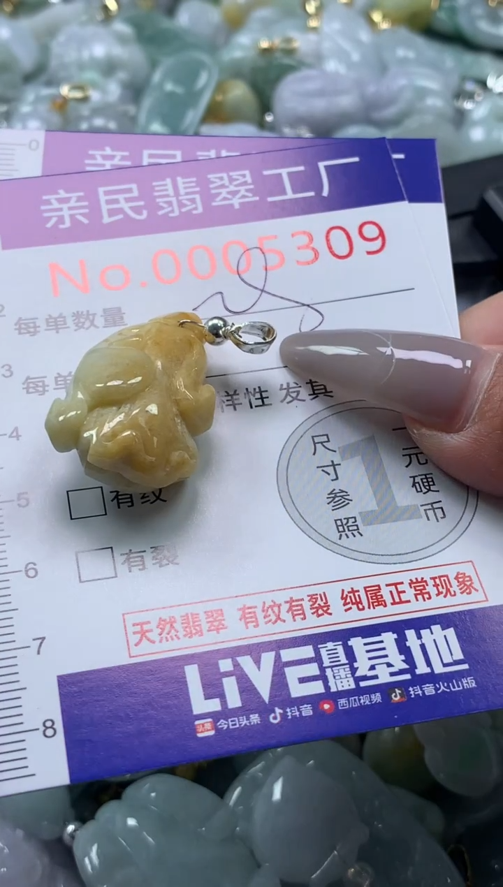 颈饰未镶嵌翡翠5309