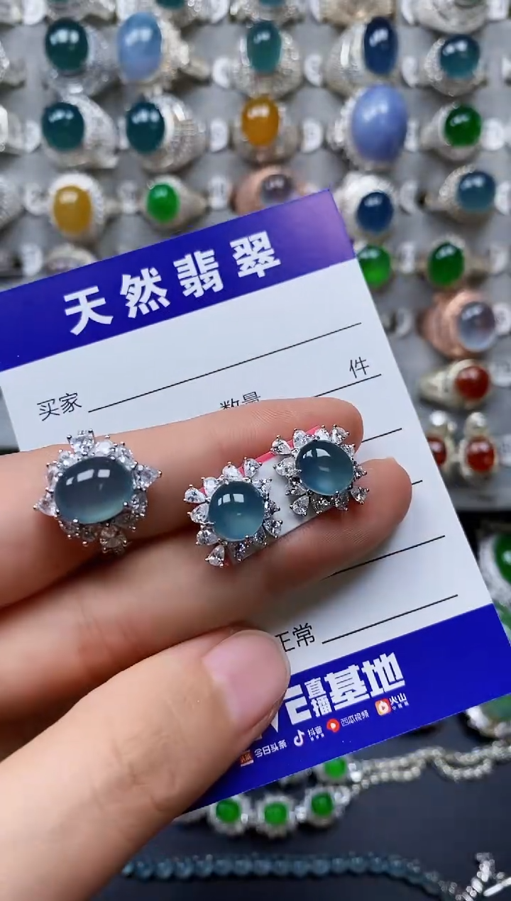 【闪购商品】翡翠颈饰银S925镶嵌0400