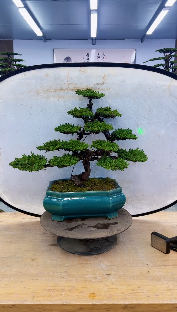 以实际为准000000