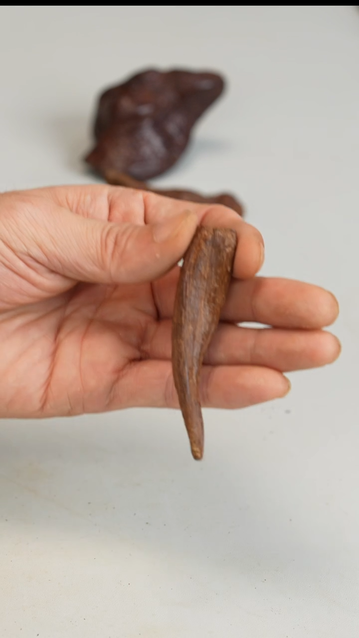 沉香沉香碎屑越南富森红土沉水6.2g