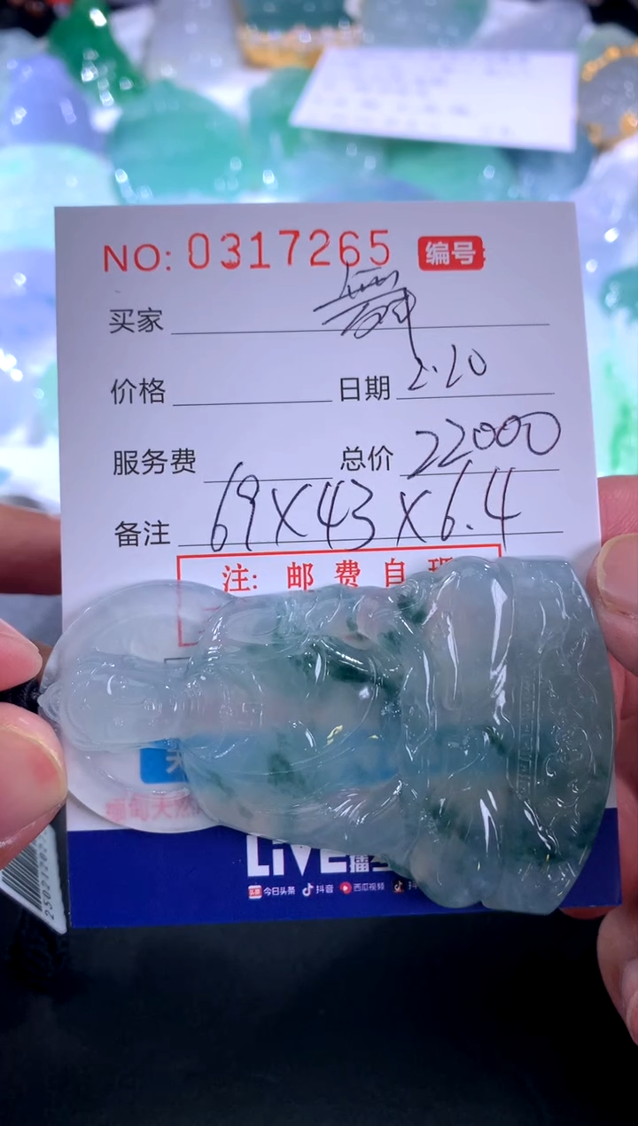 【闪购商品】翡翠颈饰未镶嵌舞
