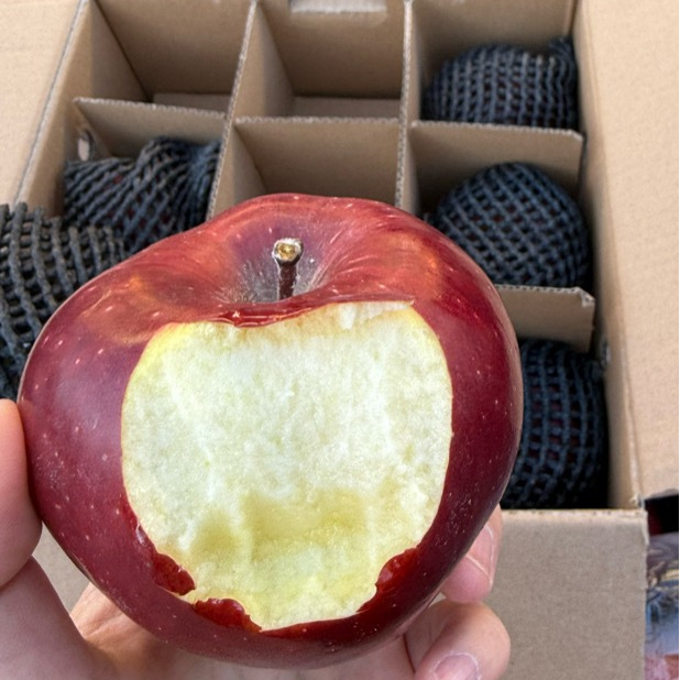 K蜂糖花牛苹果不打蜡不催熟不打药丨8斤新鲜苹果