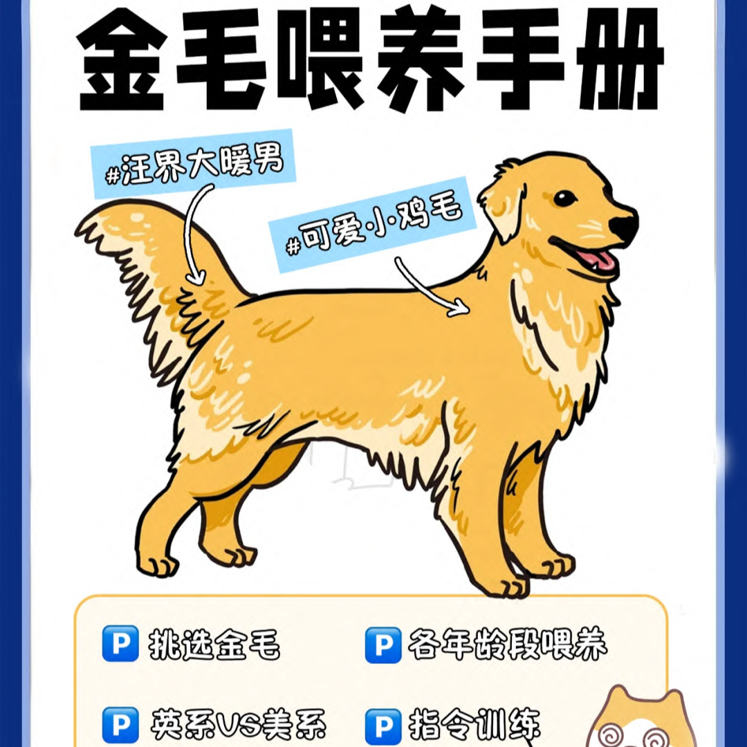 小八教你如何选狗（1）狗狗
