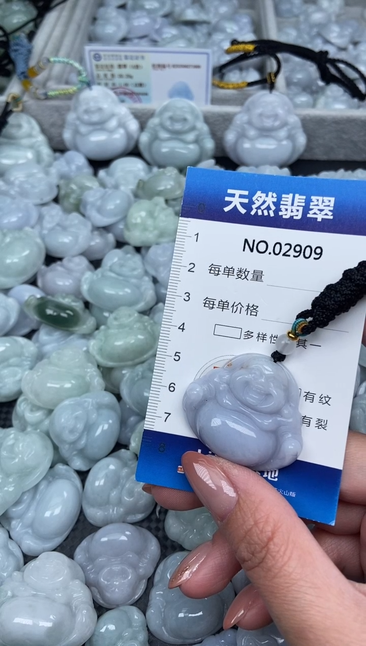 颈饰未镶嵌翡翠纯天然A货翡翠2909