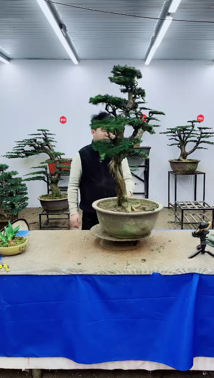 完全开放一物一拍，所见即所得