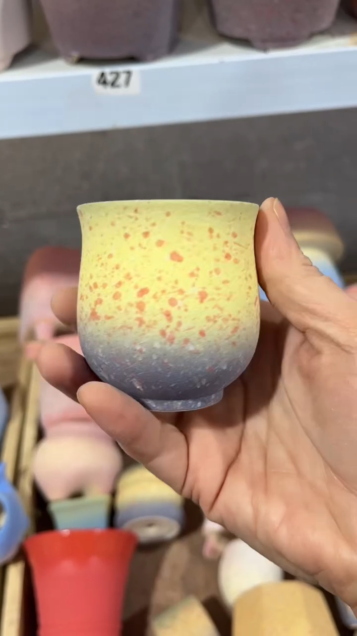 【闪购商品】陶内口6    内高6