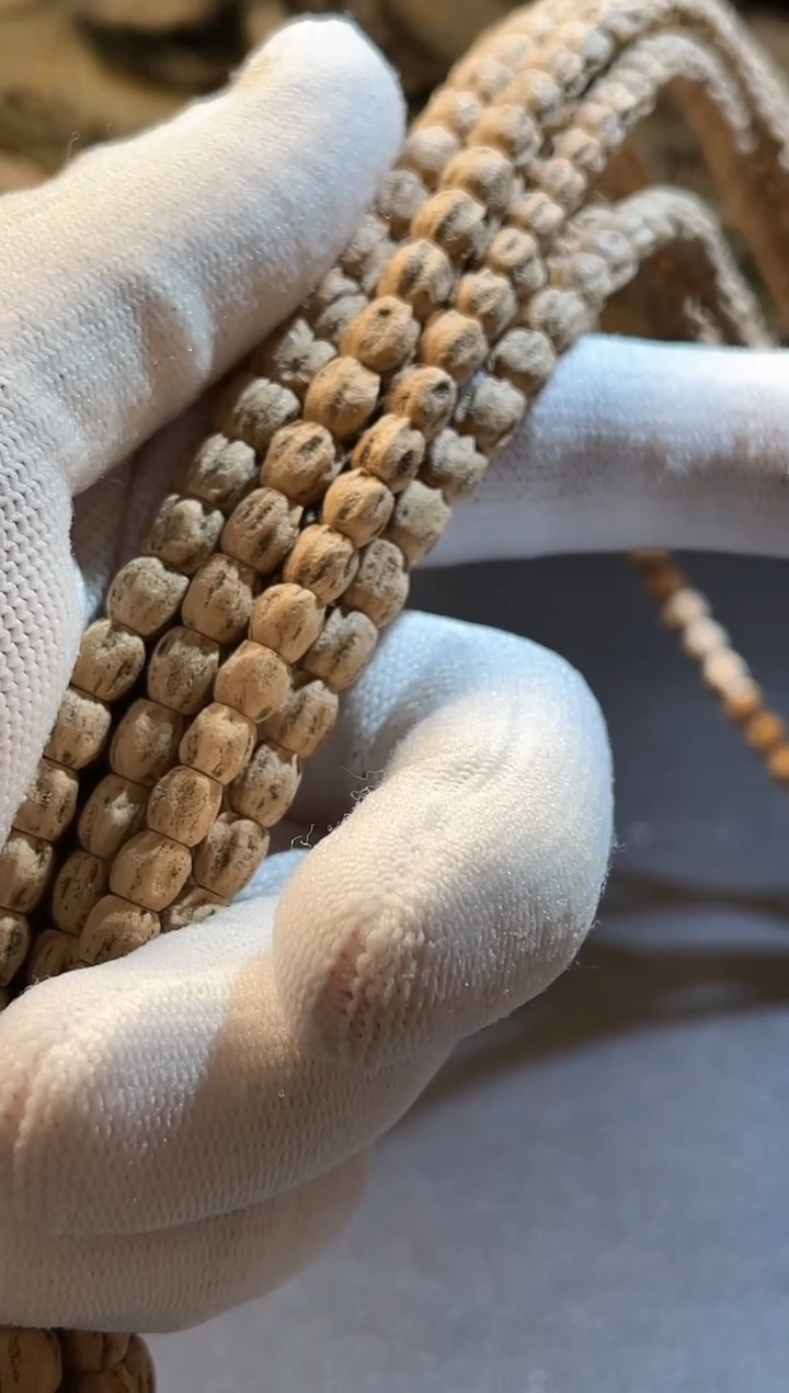 【闪购商品】柏香籽/百香籽吊坠热振树标级大长腿5.5-6.5【拒绝差评