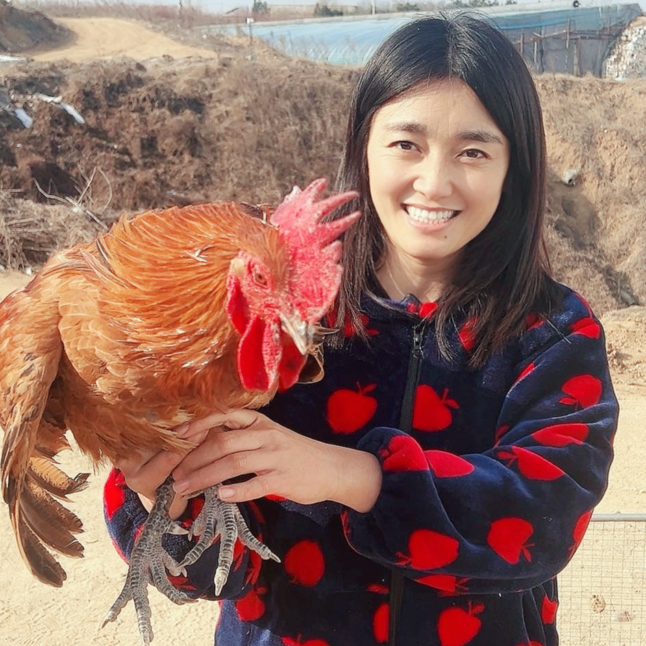 <阿丽>日照农村打野老公鸡 肉质紧实四年净重4.5左右