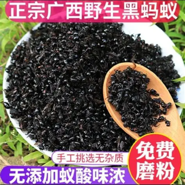 广西野生黑蚂蚁可泡水泡酒精选