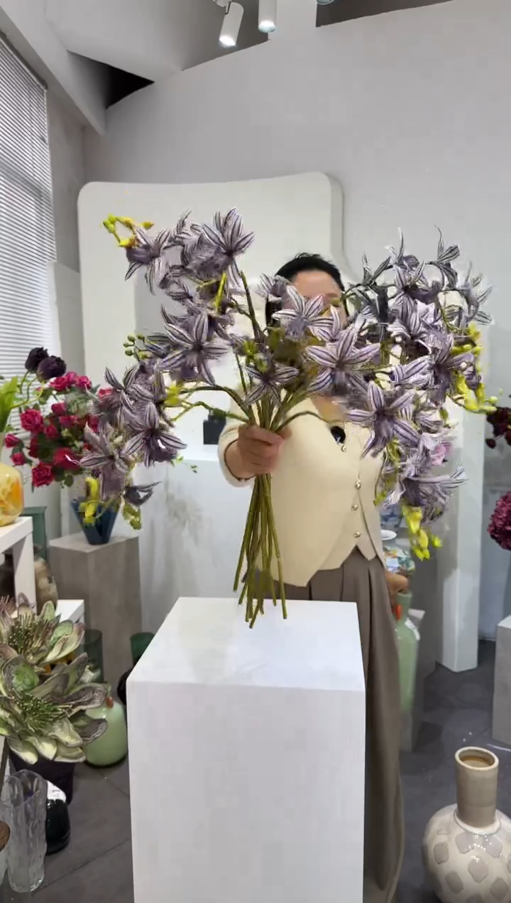 【闪购商品】藤8支孔雀猫咪蝴蝶兰